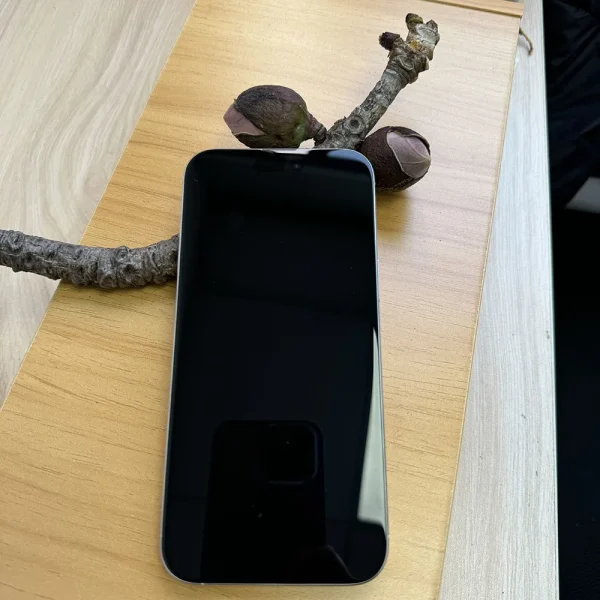 iPhone 16 Pro Max Dual SIM Card 6.9" Genuine LTPO Super Retina XDR OLED Face ID NFC A18Pro 8GB 256/512GB 5G Cell Phone - Image 2